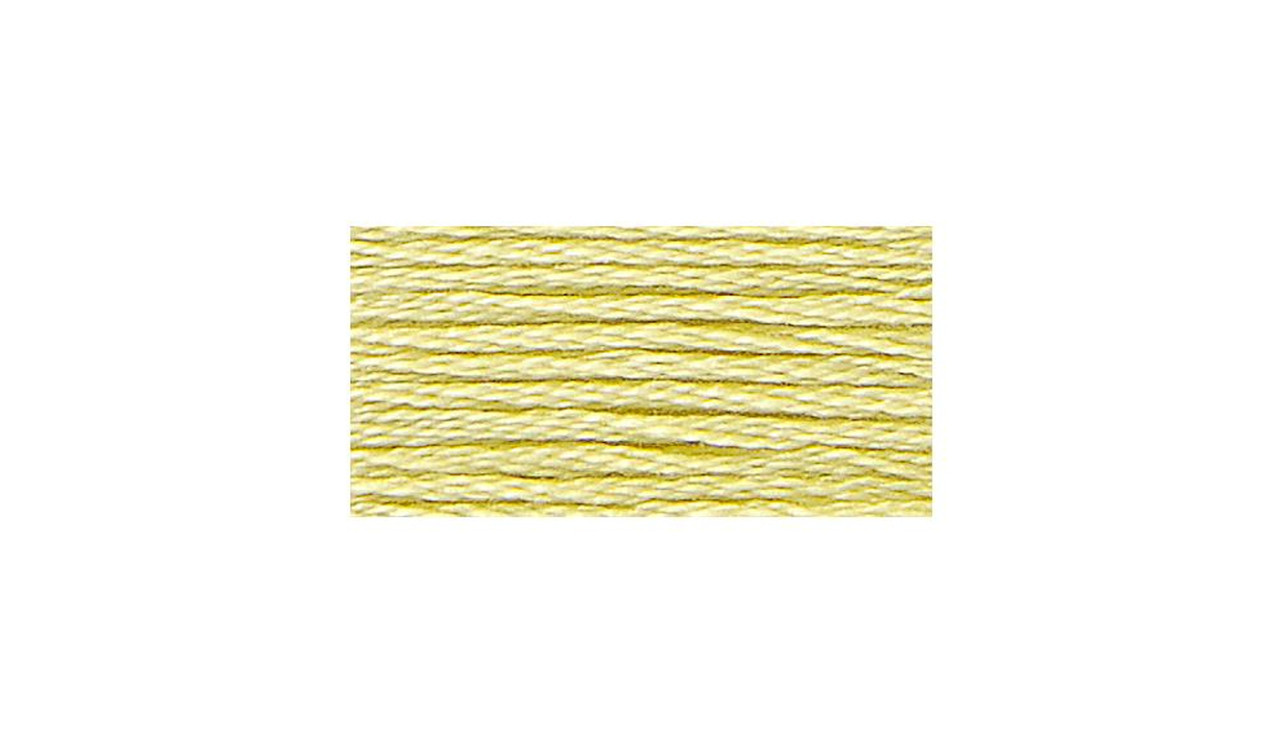 DMC 3817 Cotton Embroidery Floss