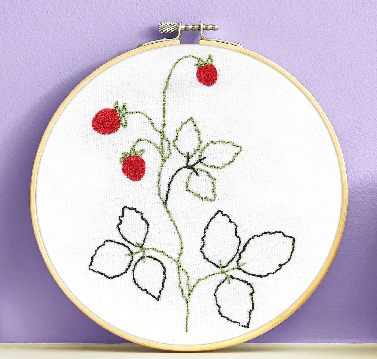 DMC Learning Fine Punch Needle Starter Kit (Strawberries)