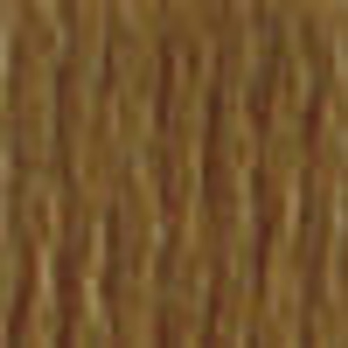 DMC # 869 Very Dark Hazelnut Brown Floss / Thread