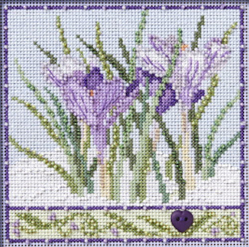 MH14-2436_Crocuses__21296.