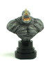 Bowen Designs Rhino Mini Bust View 1