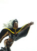 Bowen Designs Storm Mini-Statue View 9