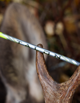 (NEW) Talon Crested Hunting Arrows 36 Pk