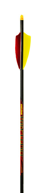 Outlaw 6pk Arrows Vanes or Feathers