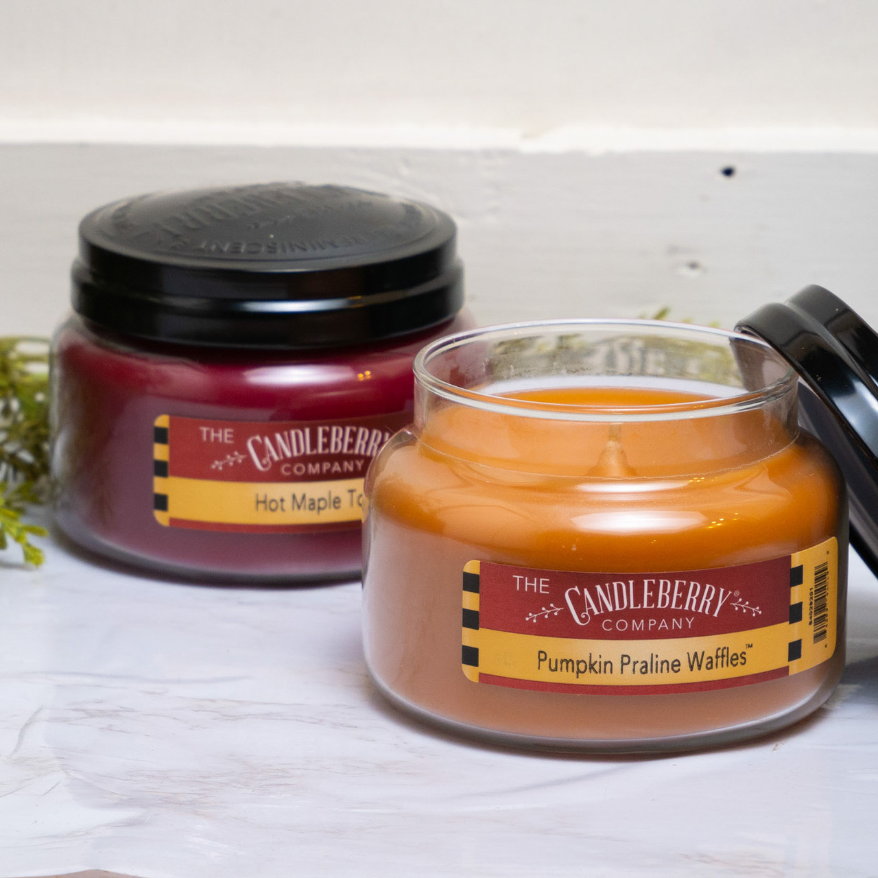 Candleberry Candles Hot Maple Toddy Toddy 10 oz. Small Jar Candleberry