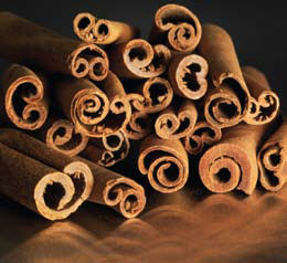 Cinnamon Tassle Refill by Root