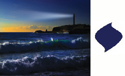 Pacific Harbour 3" by 6" Timberline Pillar by Root