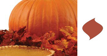 Pumpkin Spice 4" by 6" Timberline Pillar by Root