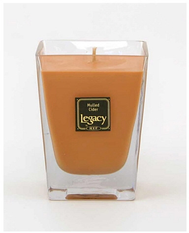 Mulled Cider 16 oz. Metrolight Candle