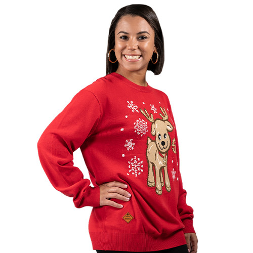 Small Reindeer Sweater by Simply Southern