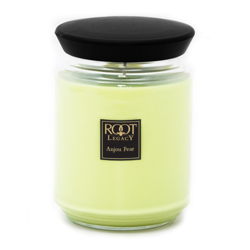 Anjou Pear 22 oz. Queen Bee Root Candle