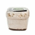 Winter Cedar & Spice Holiday Holly Pattern Square Pot (Color: White)