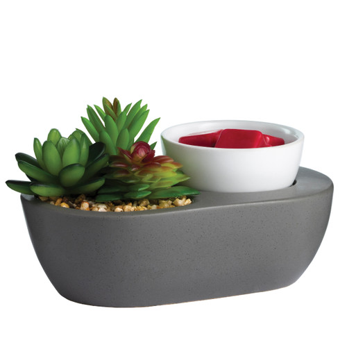 ArtScents Succulent