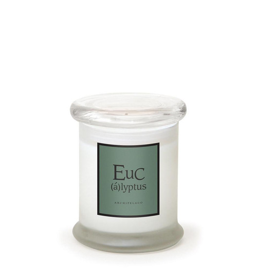 Eucalyptus 8.6 oz. Frosted Jar Candle by Archipelago