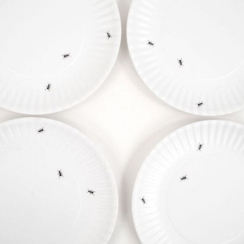 Ants "Paper Plate Look" Melamine 9" Plate by One Hundred 80 Degrees - Set of 4