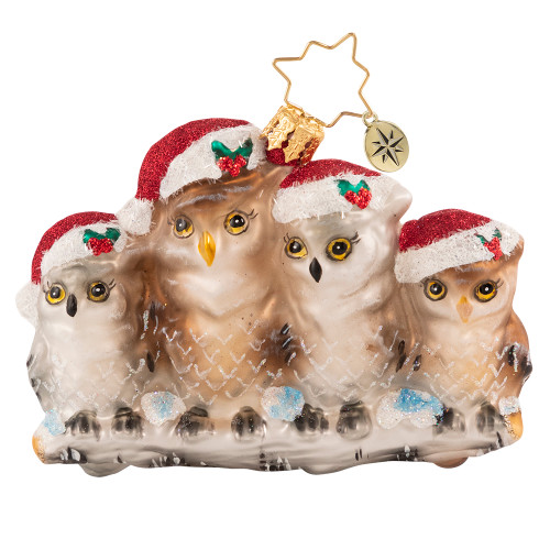 It'S Owl In The Family Gem Ornament by Christopher Radko