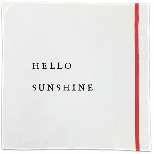 Set of 10 Hello Assorted Cotton Napkins by Sugarboo Designs