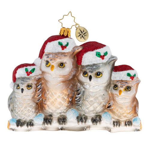 It's Owl In The Family Ornament by Christopher Radko