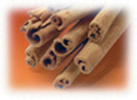 16 oz. Cinnamon Bark Alexandria's Fragrance Lamp Oil