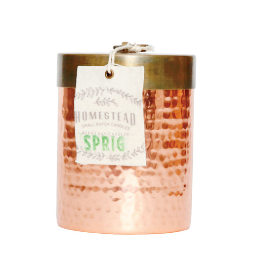 Sprig 14 oz. Hammered Canister Candle  by Aspen Bay Candles