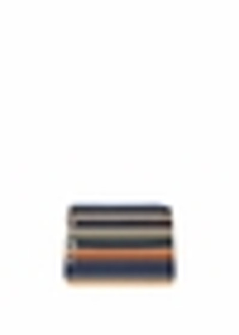 Pacific Stripe 3 Zip Cosmetic Case by Baggallini