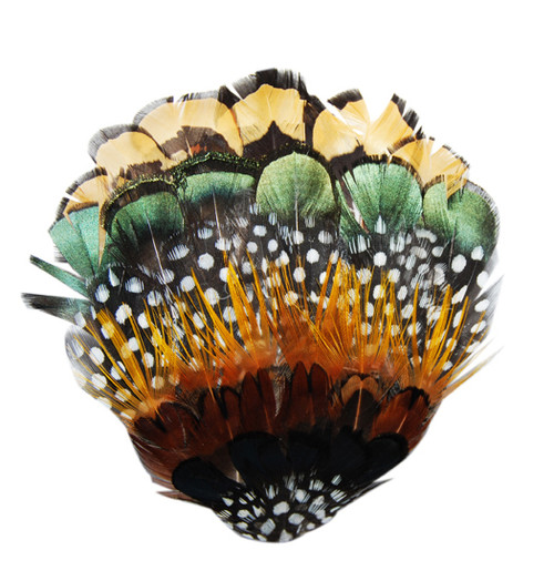 Green, Gold & Brown Speckled Feather Accessory (Headband)