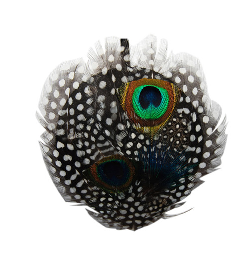 Polka Dot Peacock Feather Accessory (Headband)