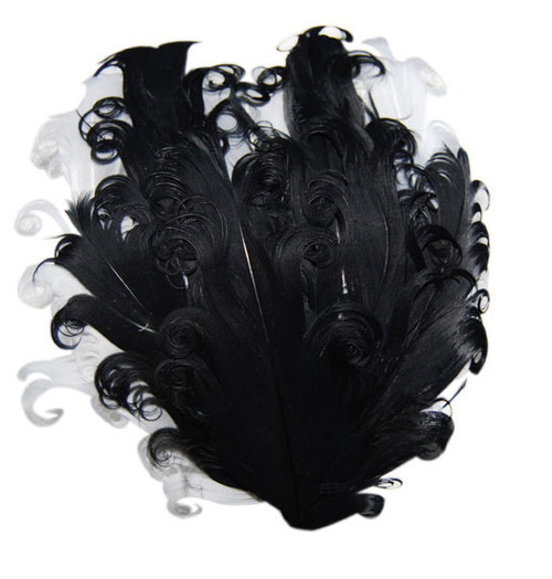 Black & White Curly Feather Accessory (Headband)