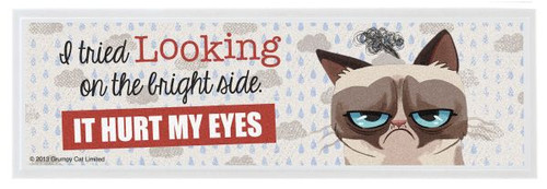 Grumpy Cat Sign - Bright Side