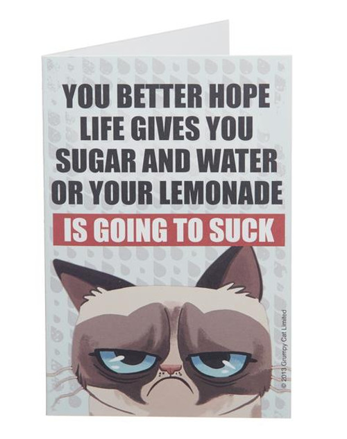 Grumpy Cat Note Cards - Lemonade