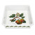 Pomona Teinton Squash Pear Motif Square Dish by Portmeirion