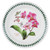 Exotic Botanic Garden Orchid Motif Set of 6 Salad Plates by Portmeirion