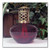 Ruby Red Redolere Fragrance Lamp Gift Set