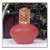 Brick Hearth Redolere Fragrance Lamp Gift Set