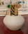 Sterling Redolere Fragrance Lamp Gift Set
