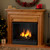Petite Visionary-Oak-Ventless Gel Firplace by Real Flame