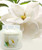 Magnolia 26 oz. Premium Round by Village Candles