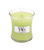 WoodWick Candles Citrus Melon 3.4 oz.