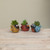 4.5-Inch Resin Red Bird with Succulent