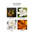 Velvet Pear Set of 2 Pura Fragrance Oil Refill