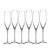 Elegance Champagne Classic Flute Set of 6 by Waterford