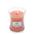 WoodWick Candles Tamarind & Stonefruit Medium Jar