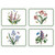 Set of 4 Botanic Garden Placemats (Assorted Motifs) by Pimpernel