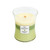 WoodWick Candles Garden Oasis Trilogy 10 oz. Jar Candle