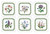 Set of 6 Botanic Garden Coasters (Assorted Motifs) by Pimpernel