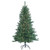 Colorado 5 ft. Spruce by Sterling Tree