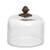 6.75in Diam. Dessert Dome - GG Collection