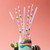 Sand Art + Hydrangea Tall Reusable Straw Set by Swig
