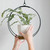 Dark & Stormy Plant Hanger - Medium by Braid & Wood