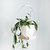 Light & Airy Plant Hanger - Large by Braid & Wood